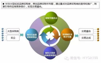 互联网电商b2c b2b平台运营能力模型及策略体系